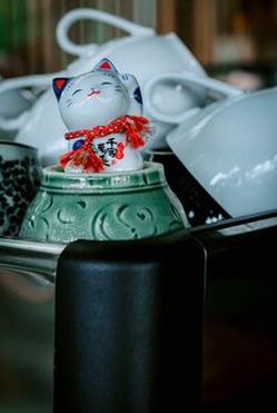 giấy phép Sodo
